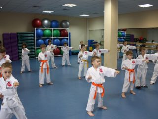 PECULIARITIES OF ORGANIZATION OF TRAINING PROCESS OF CHILDREN 5-6 YEARS OLD