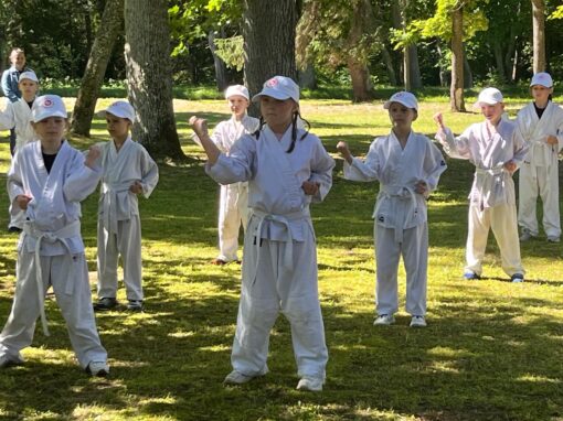 Get ready—Jyoshinmon Summer Camp in Kloogaranna starts on June 15!