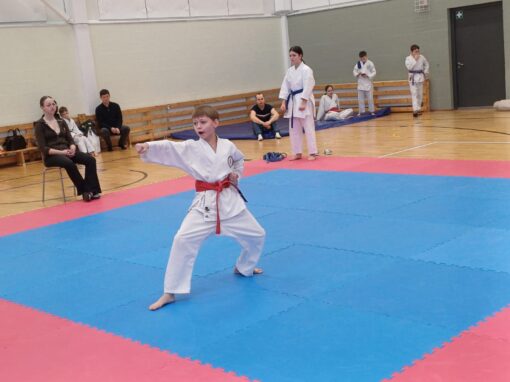 II STAGE OF JYOSHINMON KARATE LEAGUE